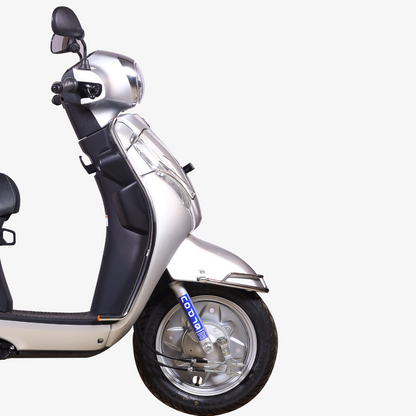 Suzuki New Access 2016 to 2024 : Front Guards - Pack of 2