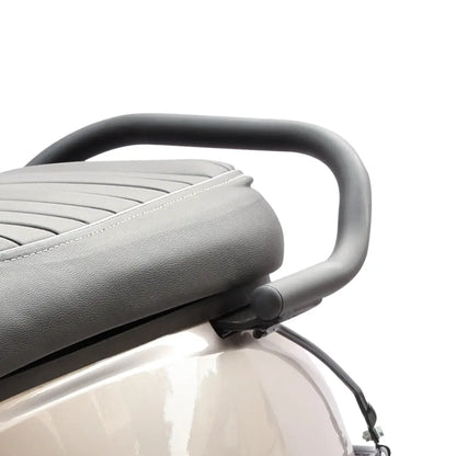 Ola S1 Air, S1 Pro (Gen 2) , S1 X  and S1 X1 Plus : Backrest Rubber Cap (Pack of 2)